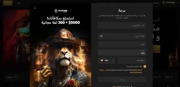 أدخل معلوماتك الشخصية على موقع كازينو Fortune Play